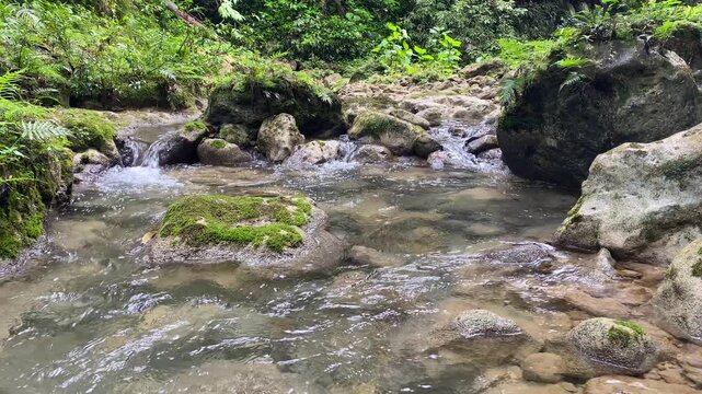 Rio bejuco en Juan lopez San Victor, Espaillat
