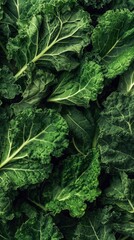 Seamless kale leaves pattern top view