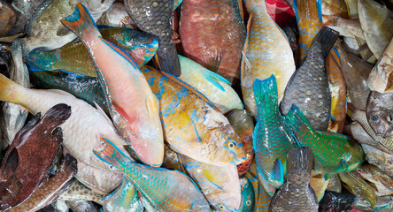 Freshly caught sea fish at a market, Borneo, Malaysia.