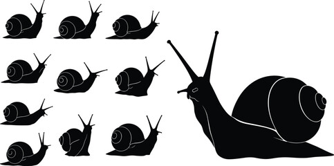 vBlack vector silhouette set of garden snails in various crawling positions for nature branding biology education slow movement concept and outdoor wildlife environment design © Farzana