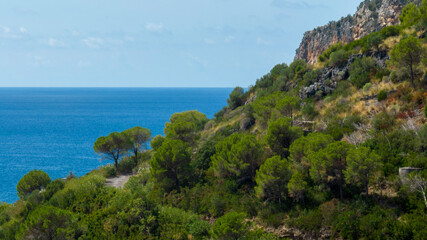 Aerial view of a rugged Mediterranean hillside with green shrubs and trees on a steep rocky slope, overlooking the deep blue sea. A wild and natural coastal landscape.