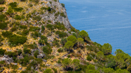 Aerial view of a rugged Mediterranean hillside with green shrubs and trees on a steep rocky slope, overlooking the deep blue sea. A wild and natural coastal landscape. © Stefano Tammaro