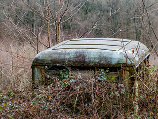Alter zugewachsener Kleinbus