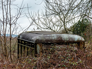 Alter zugewachsener Kleinbus