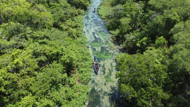 Aerial drone view of tourists on a boat tour in the crystalline Sucuri River in Bonito, Mato Grosso do Sul, Brazil