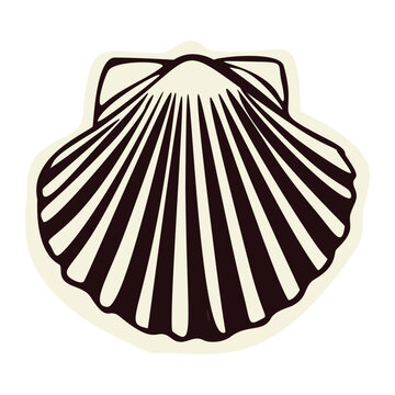 Iconic pilgrims shell for Santiago de Compostela camino pilgrimage road in Spain, Europe. Hand drawn black and white vector motif, isolated. For religious christian travel. St James the greater cross