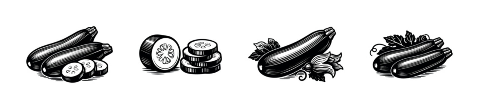 Vintage zucchini art: flat vector icons set with fresh squash illustrations and garden vegetables
