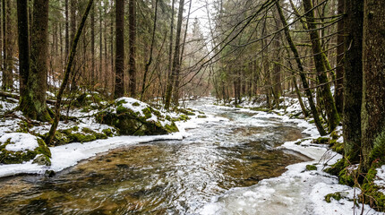 Bosque natural con r&iacute;o en pleno deshielo de invierno. Agua fluyendo entre restos de nieve bajo luz suave. Imagen ideal para conceptos de naturaleza, cambio estacional y medio ambiente.