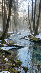 Bosque natural con r&iacute;o en pleno deshielo de invierno. Agua fluyendo entre restos de nieve bajo luz suave. Imagen ideal para conceptos de naturaleza, cambio estacional y medio ambiente.
