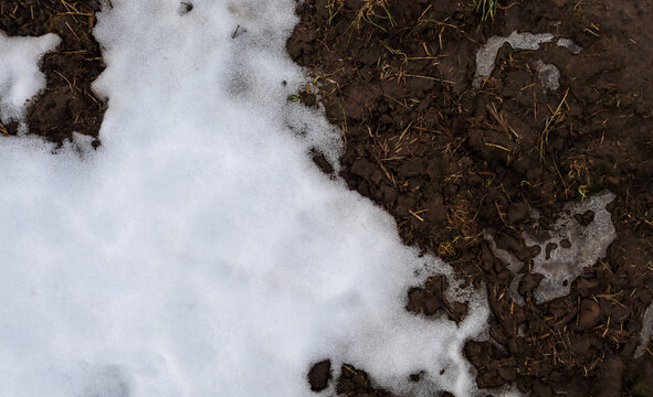 A layer of melting white snow borders dark damp soil, creating a distinct natural contrast. The shot captures the detailed texture of a spring thaw and the transitional state of the earth during the s
