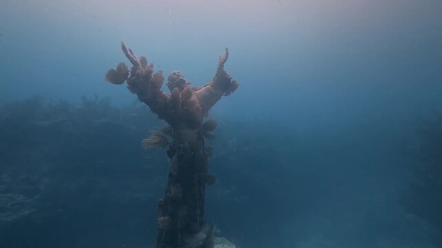 4K video of the Christ of the Deep Statue in the John Pennekamp Coral Reef State Park, Florida, USA