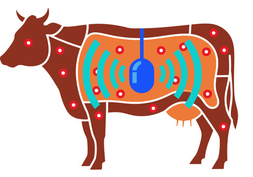 A stylized illustration depicts a cow with rumen sensors monitoring its health.  Clear icons highlight sensor locations. Modern, informative design.