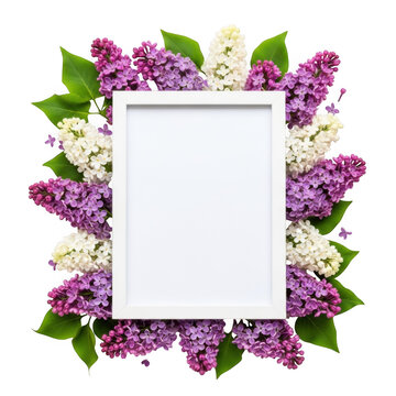 Elegant white frame surrounded by vibrant lilac blossoms and green leaves spring floral
