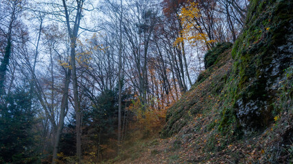 Obraz premium A winding path through an autumn forest on a rocky hillside under an overcast sky evokes a quiet, contemplative mood