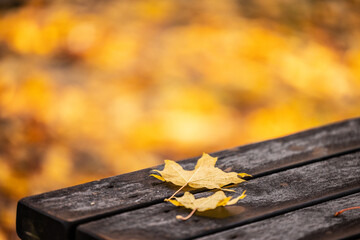 Obraz premium Yellow autumn leaves on wooden table in cozy atmosphere