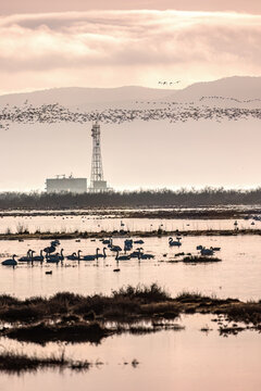Sunset or sunrise on National park of Evros Delta, near Alexandroupolis and Turkish border, Dadia forest and protected wetland, bird migratory season, cloudy sky