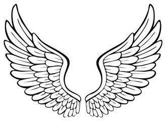 Fototapeta premium Black and white stylized angel wings illustration