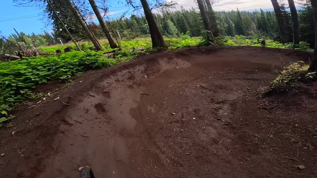 Mountain biker on a man-made trail with many bumps,  curves and turns. Downhill mountain bike in the summer.