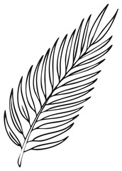 Obraz premium Minimalist hand drawn palm leaf outline, botanical illustration