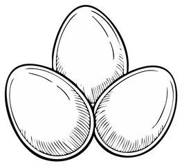 Three Fresh Eggs Hand Drawn Outline Illustration for Cooking and Breakfast Concepts