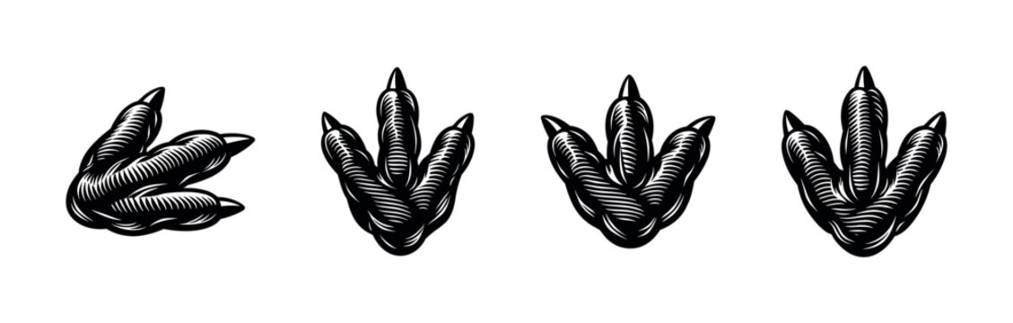Dinosaur footprints icons set. flat vector icons collection for prehistoric and fossil designs