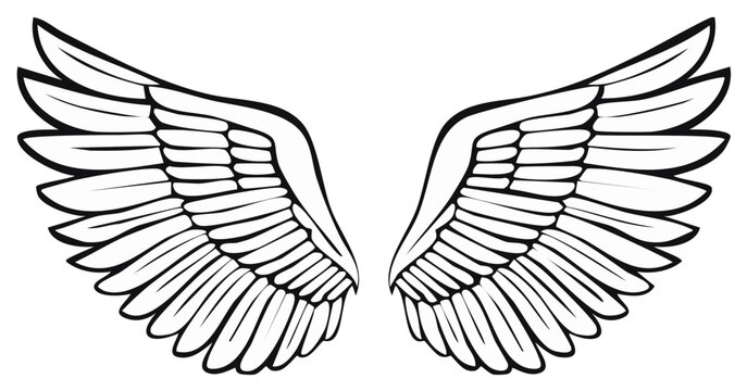 Outlined angel wings illustration for design or decoration elements