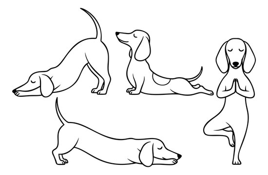 Line art cartoon dachshund dogs yoga poses set featuring adorable dogs in various yoga positions for pet wellness and healthy lifestyle