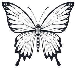 Black and white butterfly illustration with detailed wing patterns isolated on white