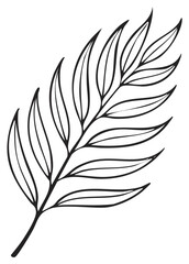 Obraz premium Minimalist hand drawn outline of a fern leaf on white background for design.