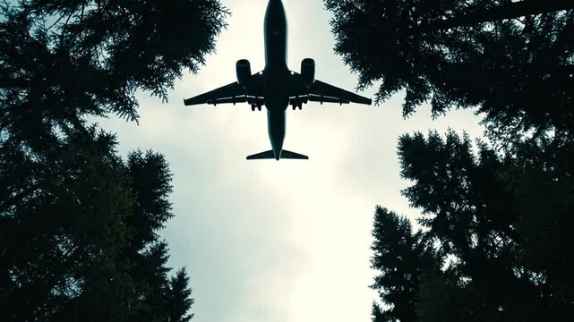 Airplane flying overhead through a canopy of trees against a cloudy sky during daylight