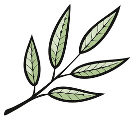 Green branch with four leaves illustration delicate veins botanical element artistic drawing
