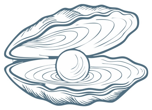 Elegant line art sketch of an open oyster shell revealing a precious pearl inside a seashell