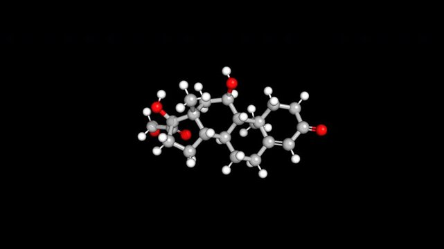 Cortisol Hormone Stress Molecule Chemical Structure Rotating Loop