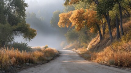 Serene Autumn Roadway Surrounded by Vibrant Fall Foliage and Gentle Morning Mist in Tranquil Natural Landscape