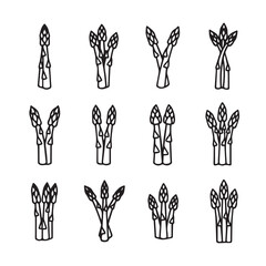 Fototapeta premium Asparagus Bundles Collection Icons Simple Line Art Illustration