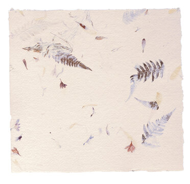 Artisan Paper with Embedded Dried leaves and Flower Petals..