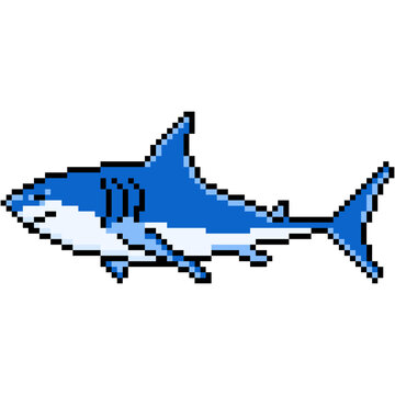 Shark with Pixel Art Design. Vector Illustration.