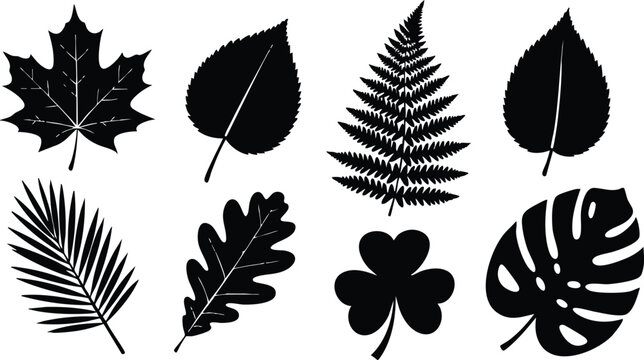 Flat design close up botanical leaf silhouettes assorted species arranged in grid high contrast black vector illustration icon set collection