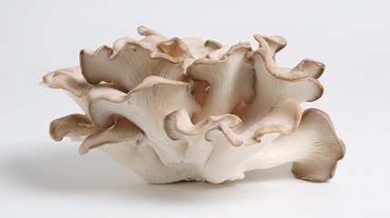 Artisanal Mushroom Cluster on Display