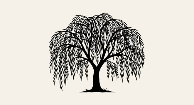 Illustration of a Weeping Willow Tree Standing Alone in a Serene Landscape Viewed from the Side