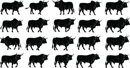 Naklejka premium Bull silhouette collection, farm cattle livestock set, standing walking aggressive poses, ranch animal vector illustration isolated bundle