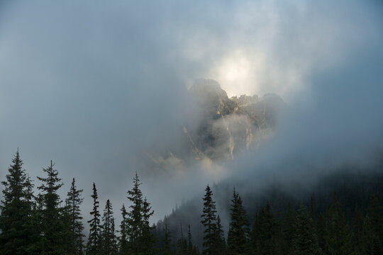 Canada; BC, Revelstoke.  Rogers Pass, Glacier National Park.