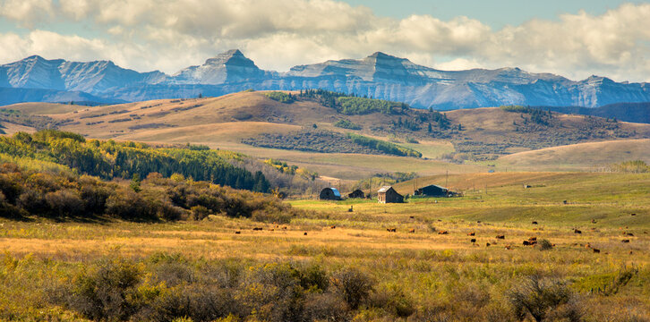 Canada, Alberta, Turner Valley.  Beautiful ranchland beneath the Rocky Mountains.