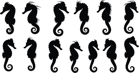 Seahorse silhouette collection, marine life animal set, ocean underwater creatures, aquatic wildlife vector illustration bundle isolated black design © MdJakirIbne