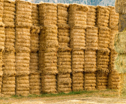 Canada, BC, Cache Creek.  Hay bails stacked in field after harvest in the fall.