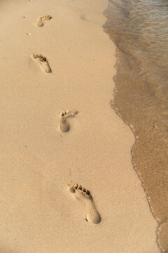 USA, Hawaii, Honolulu, Waikiki beach.  Fresh footprints in the sand along the water's edge.
