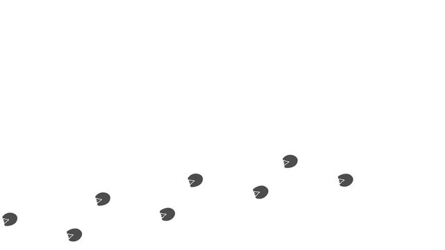 Animal paw prints.  Footprints walking animal on a trajectory of movement. Zebra paw prints  on a white background.  4K.  Animated Video