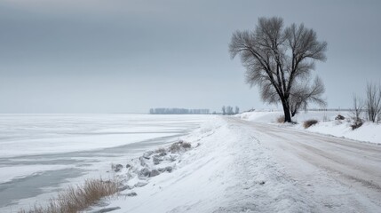 Obraz premium Serene Winter Landscape with Bare Tree Along Snowy Road Next to Frozen Lake Under Soft Gray Sky and Minimalist Atmosphere