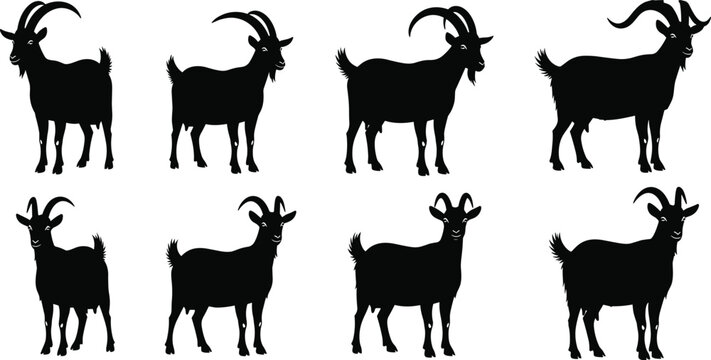 Black goat silhouettes collection featuring eight different farm animal poses with curved horns isolated on a white background for vector design