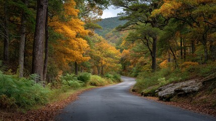 Naklejka premium Serene Curving Road Through Vibrant Autumn Forest with Colorful Foliage and Scenic Natural Beauty in Peaceful Rural Environment